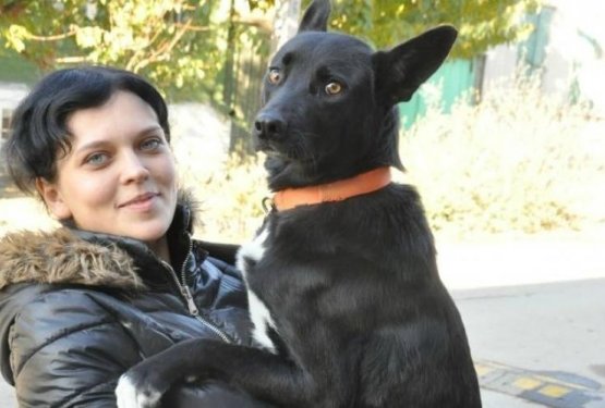 Psička prehodila 300 kilometrov in se vrnila v prvim dom