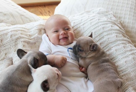Dojenček v postelji s pasjimi mladiči