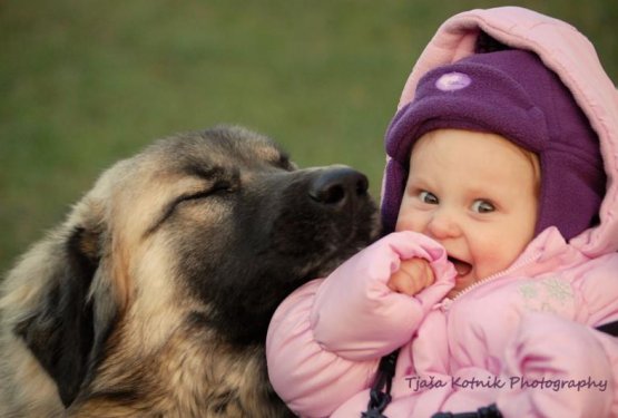 Ali res želite odvzeti otrokom tak&scaron;no izku&scaron;njo?