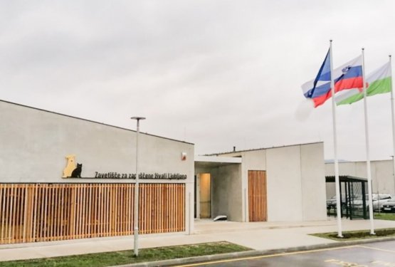 Zavetišče Ljubljana z nekaterimi spremembami!