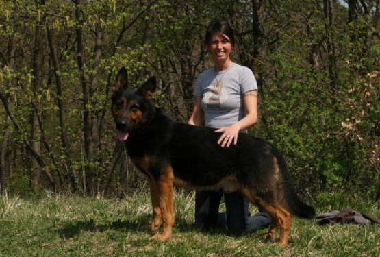 Rex: od mučitelja, do novih odgovornih lastnikov