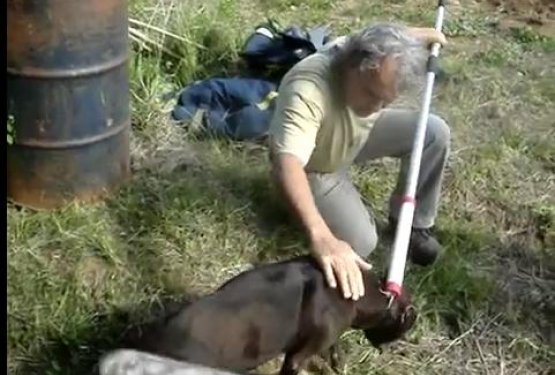 VIDEO: Gasilci in Obalno dru&scaron;tvo v skupni akciji re&scaron;ili pasje življenje