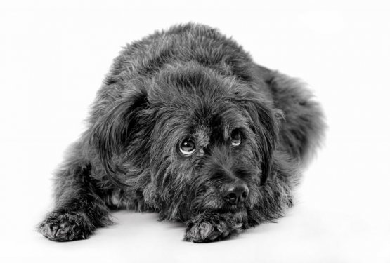 Zastrupitev s tekočino zoper zamrzovanje!