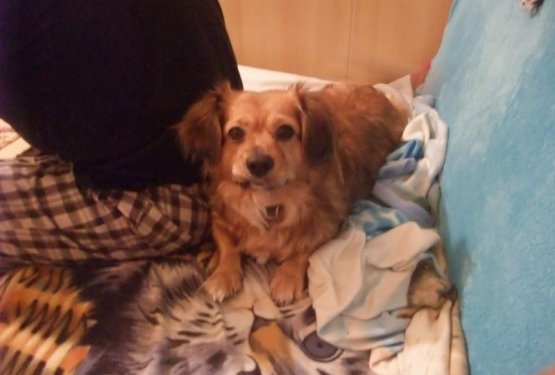 Katarinina pripoved: Roni je moj najbolj&scaron;i prijatelj