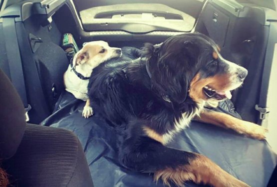 FOTO: Popotovanje po Italiji