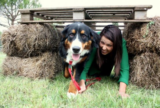 Piknik z najbolj&scaron;im prijateljem 2012