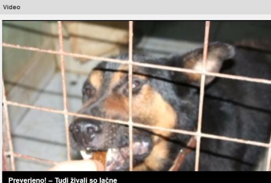 Video prispevek iz Preverjeno: Tudi živali so lačne