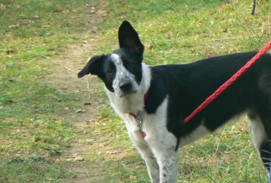 POHODNI&Scaron;TVO &ndash; SLAVNIK