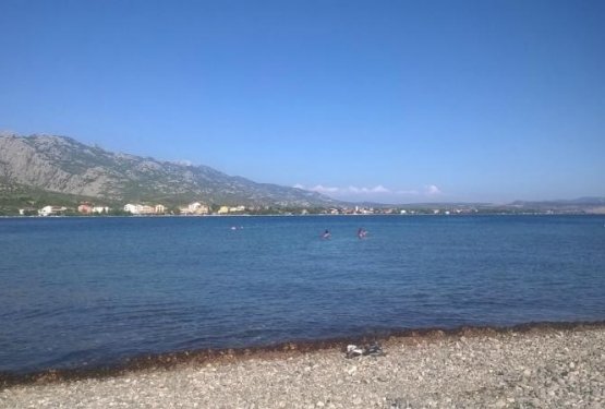 DOGS (NOT) WELCOME - Plaža Jaz Seline (Starigrad Paklenica)