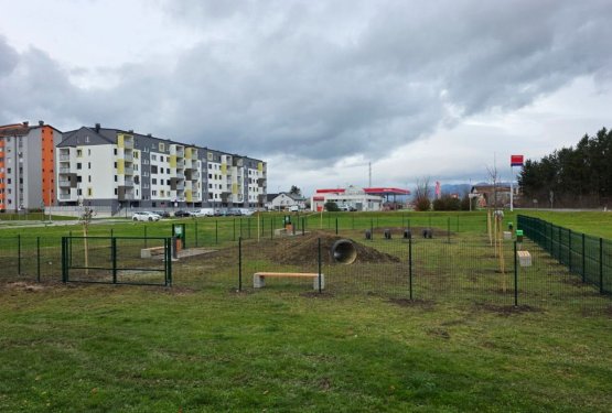 Novi pasji park v Žalcu in zakaj so takšni prostori nujni