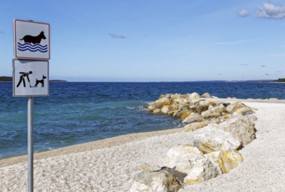 Na dopust s psom na Hrva&scaron;ko? Pravila se razlikujejo &ndash; kazni pa lahko hitro pokvarijo dopust