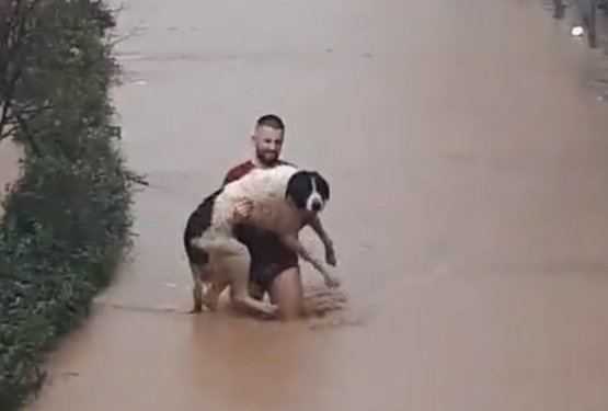 FOTO: Ob poplavah v Sarajevu reševali tudi brezdomne pse