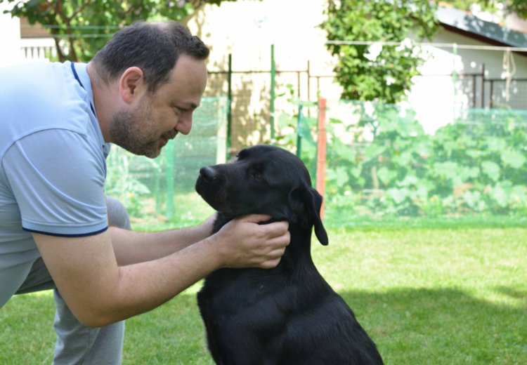 Govoriti s psom? Seveda &ndash; in to večkrat na dan!