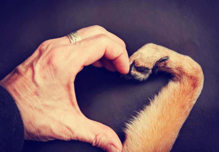 ODGOVORNOST, kaj je to?