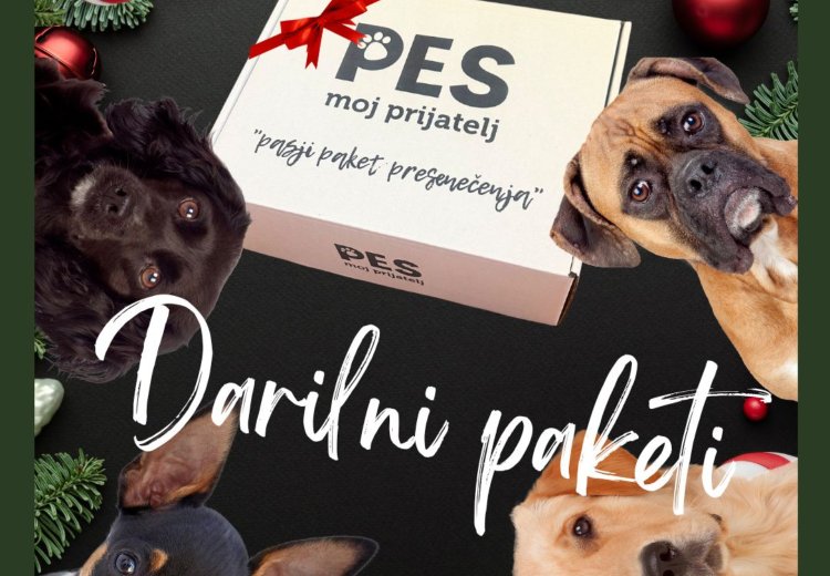 PRAVILA SODELOVANJA V NAGRADNI IGRI &raquo;BOŽIČNA NAGRADNA IGRA 2025&laquo; NA FB IN INSTAGRAM STRANI PES MOJ PRIJATELJ