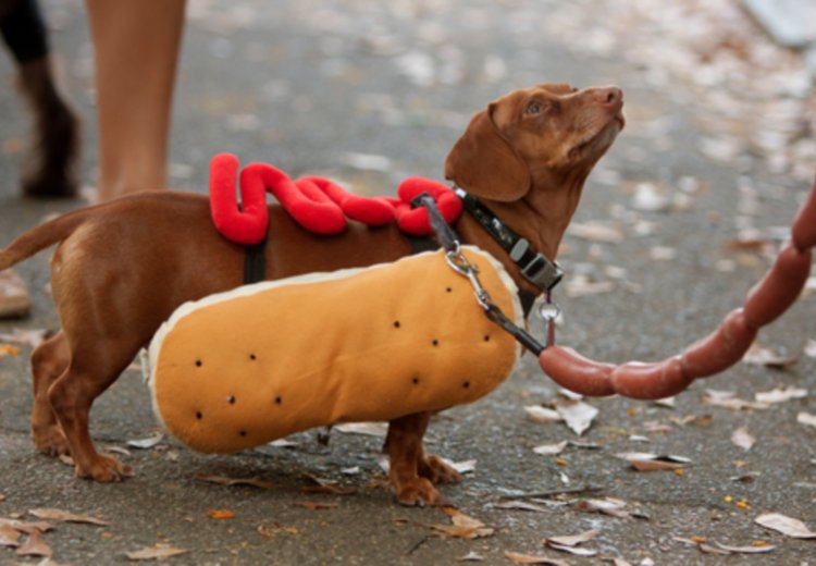Zakaj se hot dog imenuje &raquo;vroči pes&laquo;?