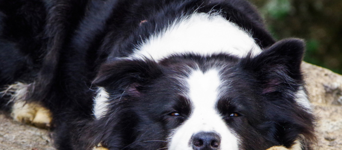 Ko vikend postane maraton: zakaj pretirana aktivnost ni vedno dobra ideja