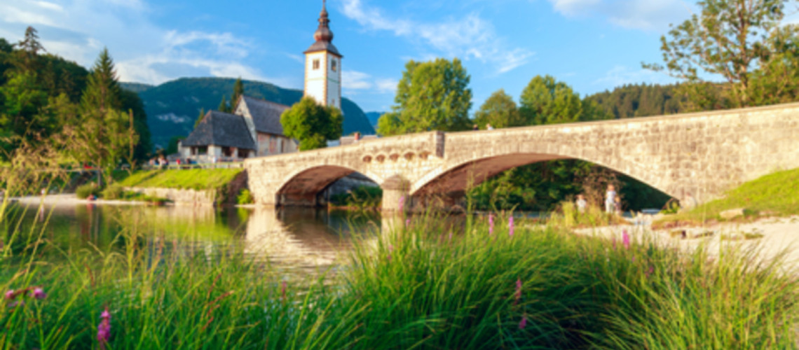 Nenadni primeri cianobakterij na Bohinjskem jezeru &ndash; kak&scaron;no je stanje letos?