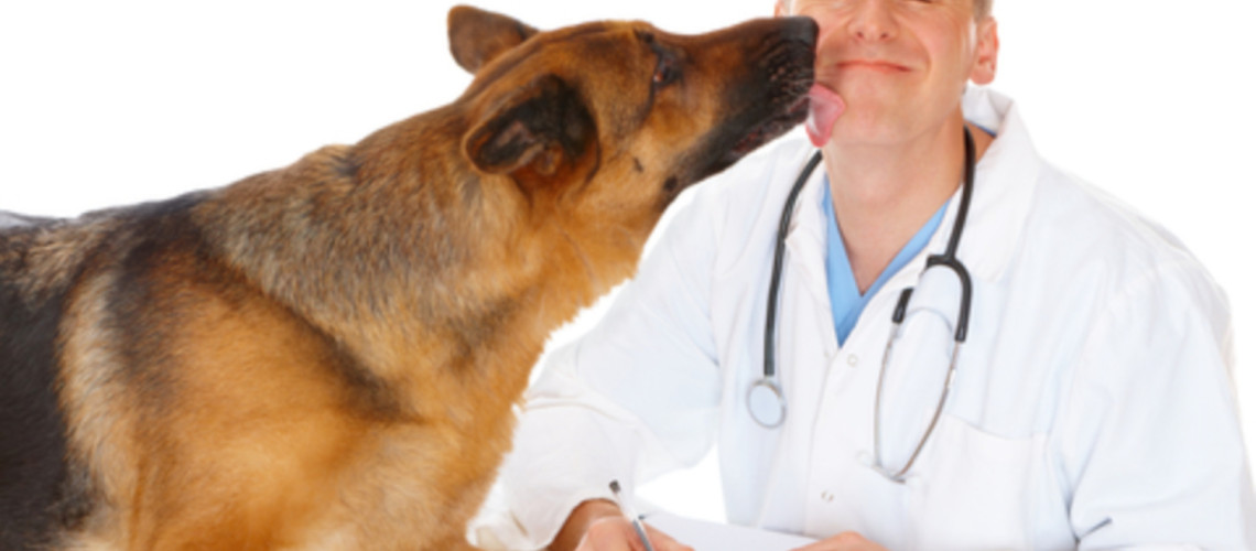 Zakaj tudi zdrav pes potrebuje veterinarja