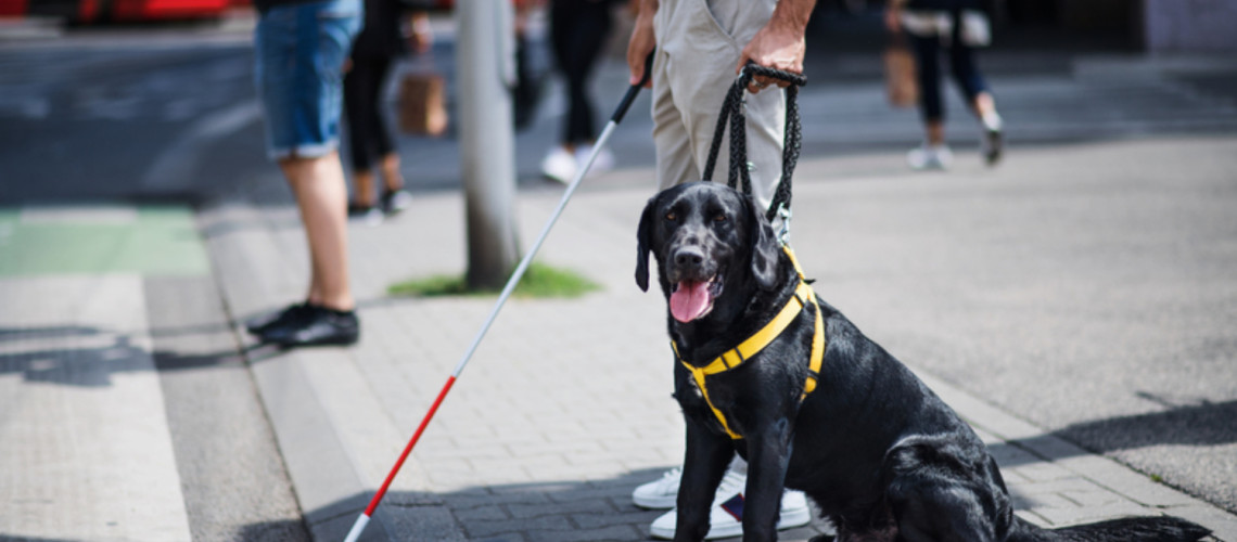 Danes slavimo tihe junake &ndash; pse vodnike!