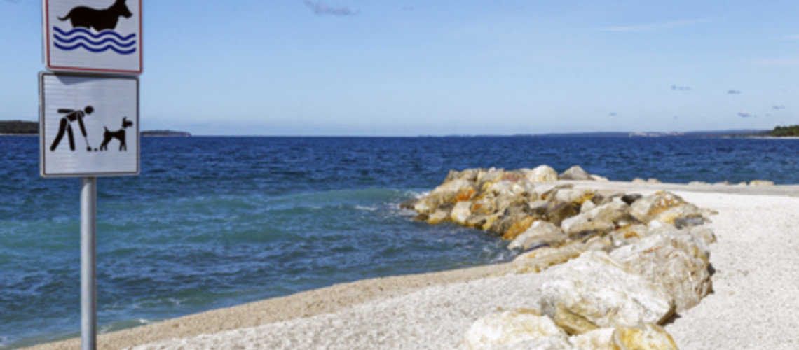 Na dopust s psom na Hrva&scaron;ko? Pravila se razlikujejo &ndash; kazni pa lahko hitro pokvarijo dopust